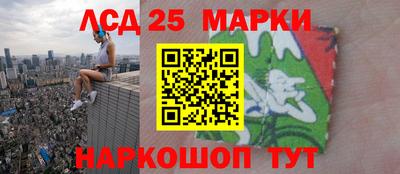 гидропоника Кулебаки