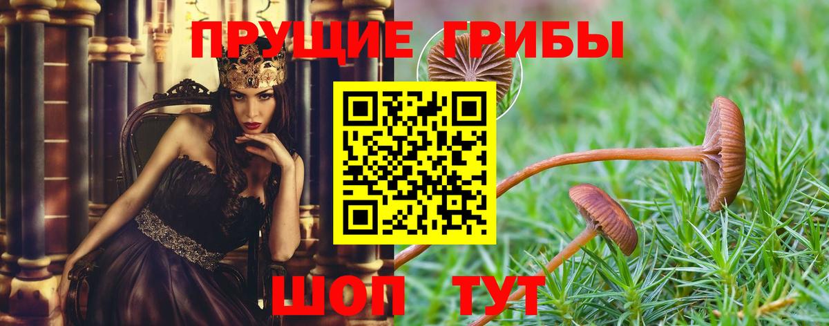 Псилоцибиновые грибы Psilocybine cubensis  Вход с VPN  Унеча  Галлюциногенные грибы ЛСД 